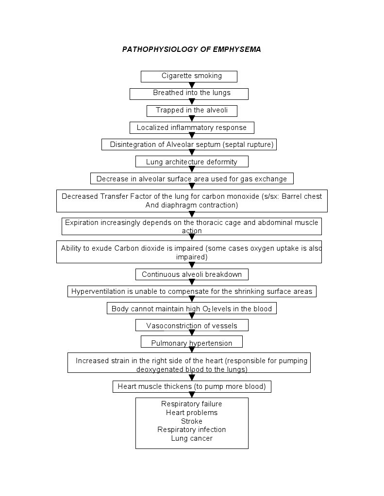 Emphysema Pathophysiology Explained | PDF