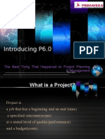 Introducing P6.0: The Best Thing That Happened To Project Planning & Management