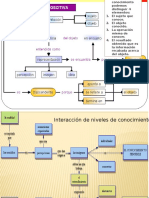 Losproblemas Del Conocimiento