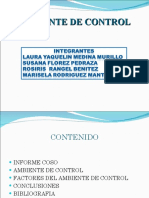 COSO Auditoria Ambiente de Control PDF