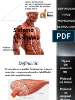 Diapositivas Del Sistema Muscular