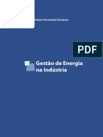 Apostila Gestão de Energias Na Industria