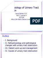 Pathophysiology of Urinary Tract Obstruction
