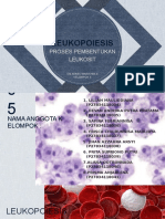 LEUKOPOIESIS