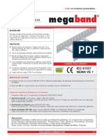 ft123es03-Megaband.pdf