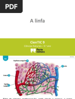 H1 - H3 - A linfa.pdf
