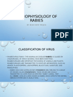 Pathophysiology of Rabies