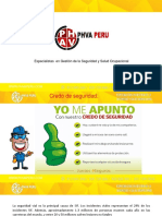 Seguridad Vial - Phva Peru