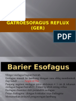 Gastroesofageal Refluks