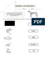 Guía Animales Vertebrados 2° Basico