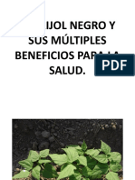 El Frijol Negro y Sus Múltiples Beneficios para La Salu1