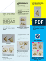 Leaflet Pijat Marmet