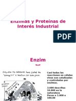 Tema 5.6 Enzimas y proteinas de interes industrial - Alumnos