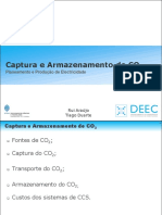 Captura e Armazenamento de CO2.pdf