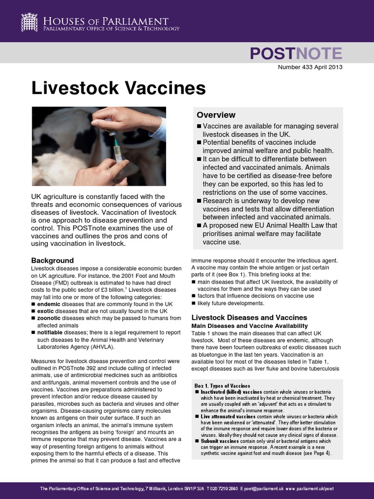 Livestock Vaccines PDF | PDF | Vaccines | Infection