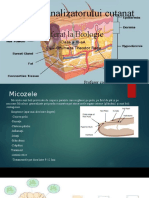 Boli Ale Analizatorului Cutanat