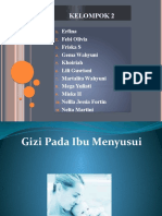 Gizi Ibu Pada Ibu Menyusui