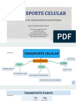Transporte Transcelular
