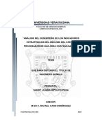 Analisis Kpi Estrategicos Ano 2008procesadra de Gas PDF