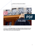 Tag24.de-Im Zug Aus Leipzig Mehrere Reisende Beißen Bundespolizisten
