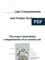 Compartimientos Intracelulares y Direccionamiento de Proteinas