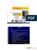 281650393-Petrogenesis-de-Porfidos-de-Cu-Dr-Osvaldo-Rabbia-pdf.pdf