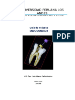 Guía Endodoncia Técnicas Preclínicas