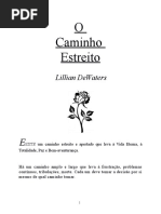 O Caminho Estreito - Lillian DeWaters.pdf