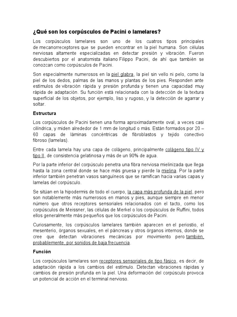 Corpúsculos de Pacini | PDF | Piel | Potencial de acción
