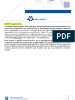 2 1 3 - Resumo-Equilíbrio-organizacional PDF