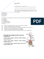 SISTEMA DIGESTÓRIO