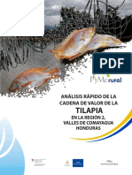 Analisis-Tilapia Comayagua PDF