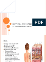 SISTEMA_TEGUMENTARIO.pdf