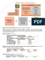 Informe Bases Chikungunya