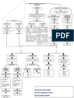 Mapa Conceptual Cardio PDF