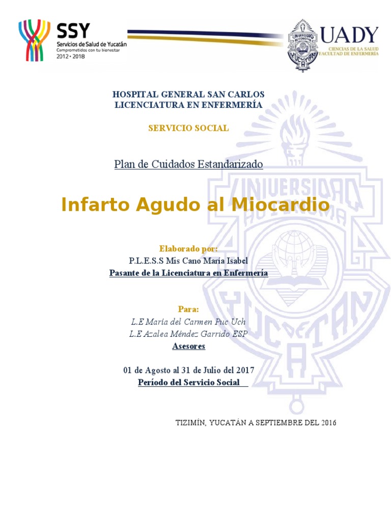 Plan de Cuidados para Infarto Agudo al Miocardio | PDF | Infarto de ...