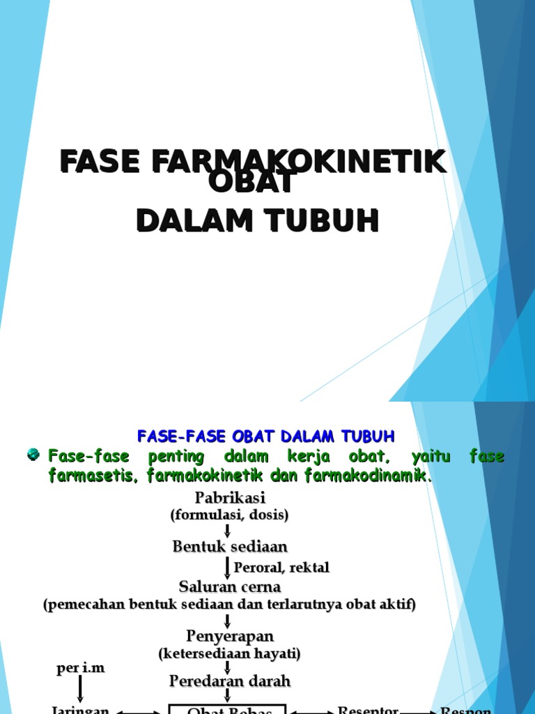 2 Fase Farmakokinetik Obat Pdf