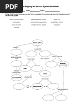 concept-mapping-of-nervous-system-worksheet-pdf