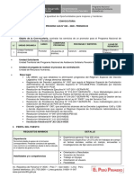 TDR Proceso CAS 030 PDF