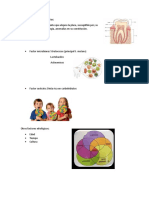 Factores Etiológicos Primarios de La Caries Dental