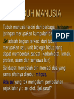 FISIOLOGI MANUSIA.pdf