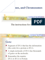 DNA, Genes, and Chromosomes2