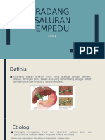 RADANG SALURAN EMPEDU