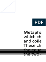 Metaphase