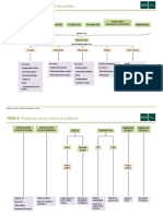 Mapa Conceptual TEMA 4