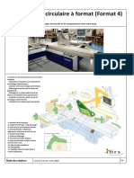 Scie Circulaire A Format Felder