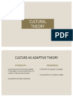 Cultural Theory Task