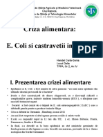 Criza alimentara