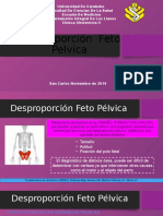 Desproporción Feto Pelvica YEN