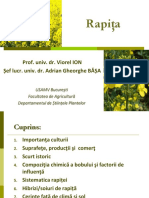 Rapita PDF